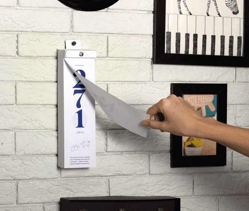 2020年的日歷設(shè)計(jì)風(fēng)格獨(dú)具匠心  第6張