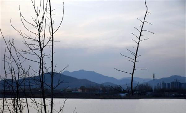 如何使用Photoshop修改圖片的大?。?>
        <i class=