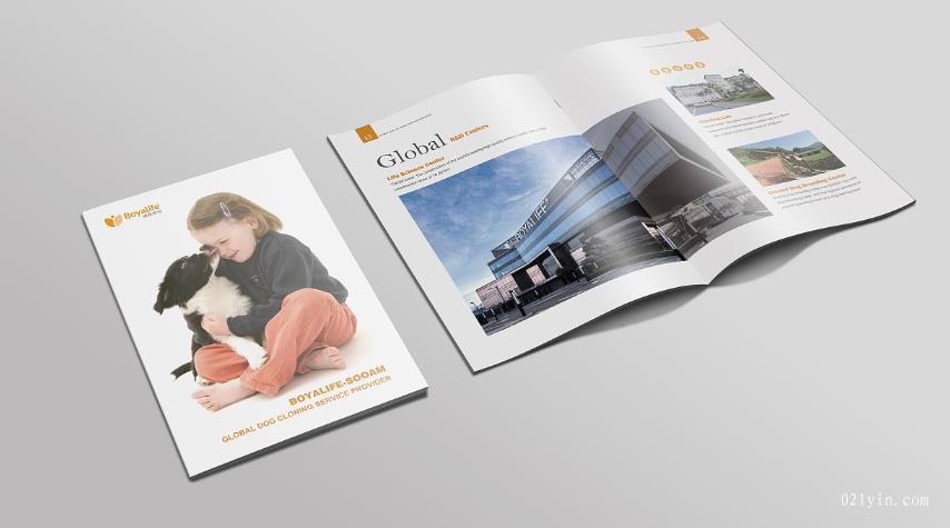 上海彩頁(yè)印刷時(shí)會(huì)碰到哪些常見問(wèn)題？  第1張