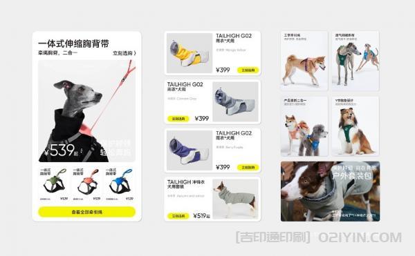 寵物品牌形象VI設(shè)計印刷  第6張 寵物品牌形象VI設(shè)計印刷  第6張