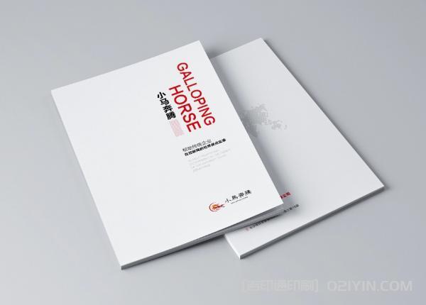 海外產(chǎn)品畫冊印刷  第2張 海外產(chǎn)品畫冊印刷  第2張