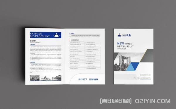 企業(yè)發(fā)展封套設(shè)計(jì)印刷  第3張 企業(yè)發(fā)展封套設(shè)計(jì)印刷  第3張