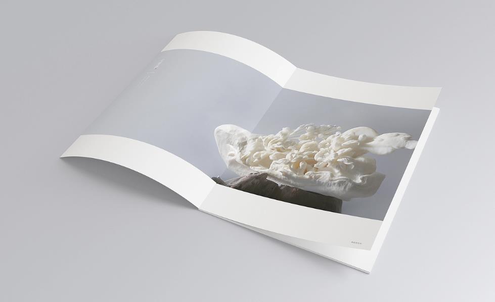 彩頁(yè)印刷常規(guī)尺寸有哪些？